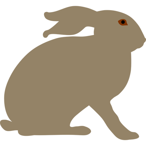 rabbit